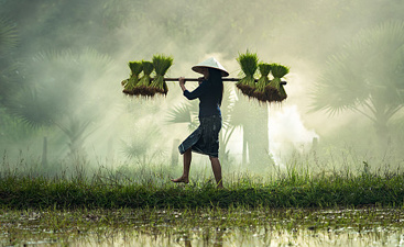 1750473131210378.jpg 1750473118855.jpg